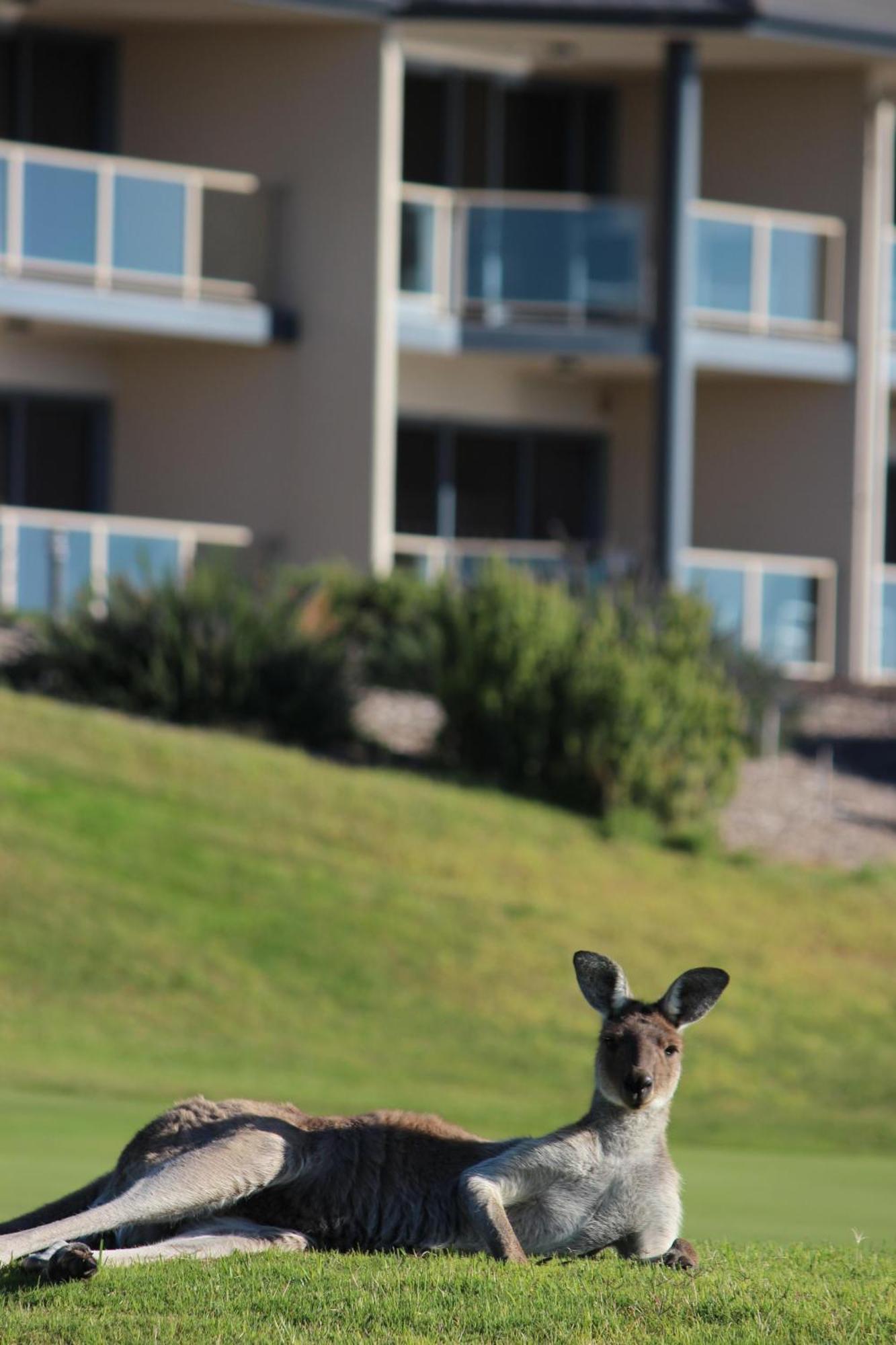 Lady Bay Hotel Normanville Extérieur photo