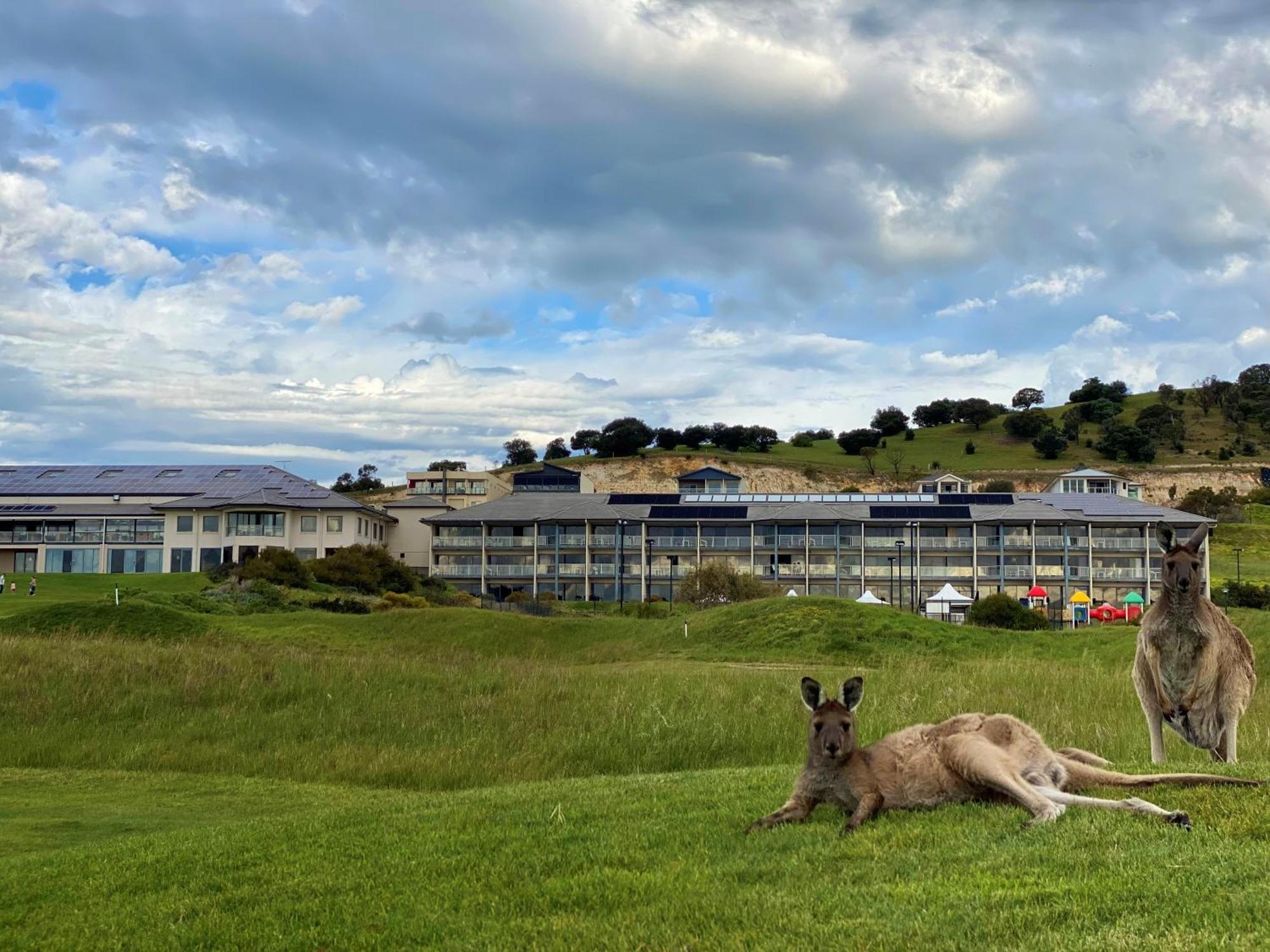 Lady Bay Hotel Normanville Extérieur photo